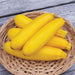 Bright yellow zucchini squash, freshly harvested, in a wicker basket on weathered wood.