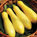 Four bright yellow summer squash in a rustic wicker basket on green leaves.