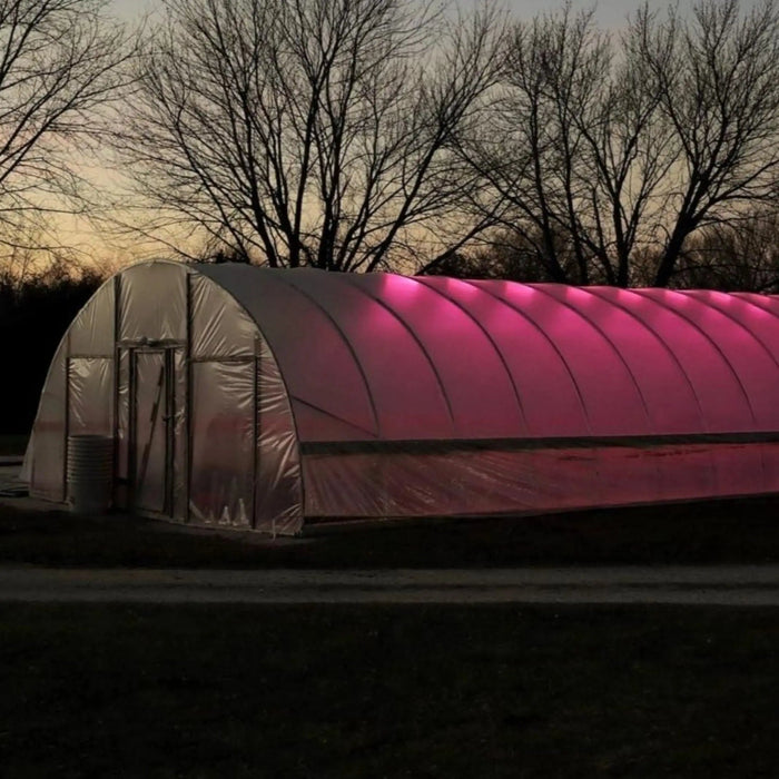 Large hoop house glowing vibrant pink from LED grow lights at night. Modern agriculture, season extension, plant cultivation.