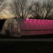 Large hoop house glowing vibrant pink from LED grow lights at night. Modern agriculture, season extension, plant cultivation.