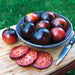 Harvested black and red heirloom tomatoes, whole in a bowl and sliced on a cutting board with a knife. Fresh garden produce.