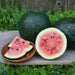 Starry Night watermelons: two whole, one sliced revealing pink flesh & seeds, with fresh slices in a wooden bowl.