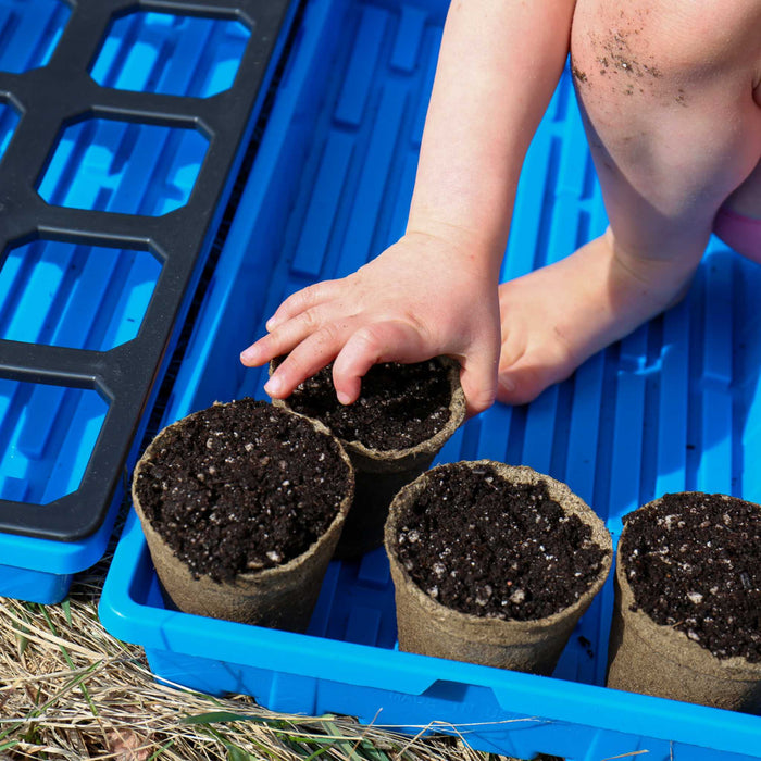 Child's hand plants peat pots with potting soil in a blue seed starting tray. Kids gardening, spring planting fun.