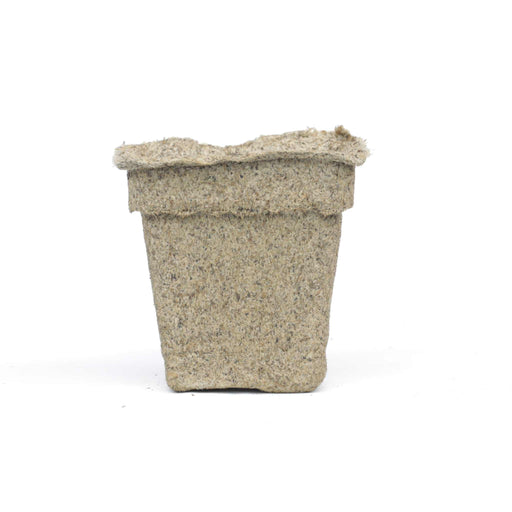 Empty biodegradable seedling pot. Light brown, fibrous peat or coco coir plant starter for eco-friendly gardening.