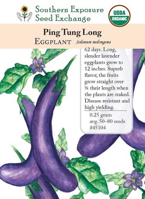 Ping Tung Long Eggplant
