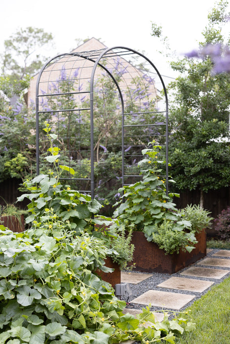 Modern garden with corten steel raised beds, climbing vegetables on trellises, stepping stone path, and purple flowers.