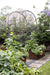 Modern garden with corten steel raised beds, climbing vegetables on trellises, stepping stone path, and purple flowers.