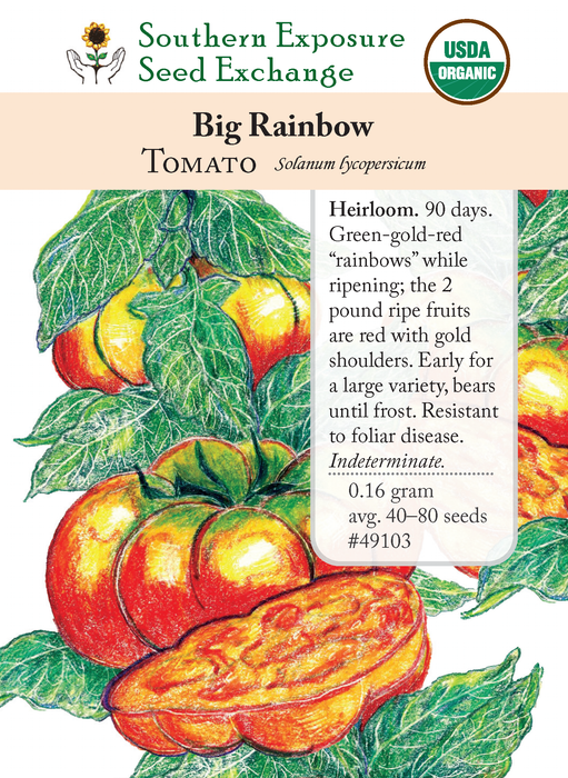 Big Rainbow Tomato