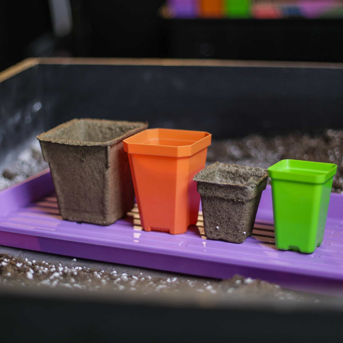 Assorted plant pots on a purple seed starting tray with potting mix. Includes biodegradable peat, orange, and green plastic pots.