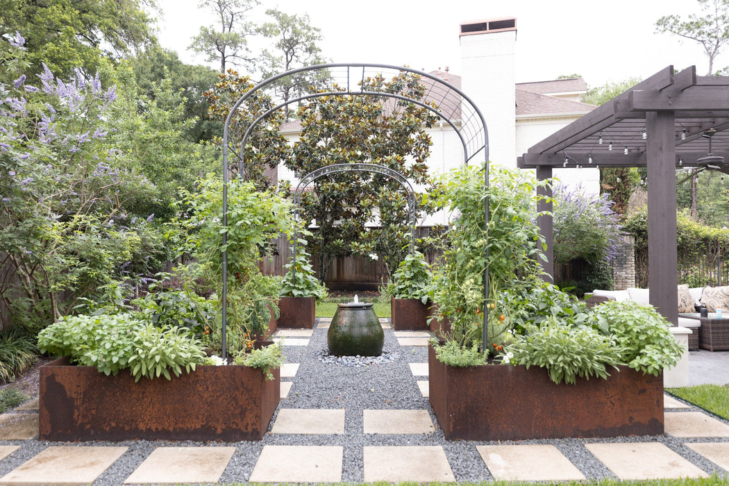 Lush backyard edible garden featuring Corten steel raised beds with tomatoes, herbs, a water fountain, gravel path, and pergola.