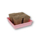 Four square biodegradable peat pots in a pink seed starting tray for seedlings.