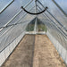 Empty hoop house interior, clear plastic film, metal frame, dirt floor, overhead hose. Ready for planting.
