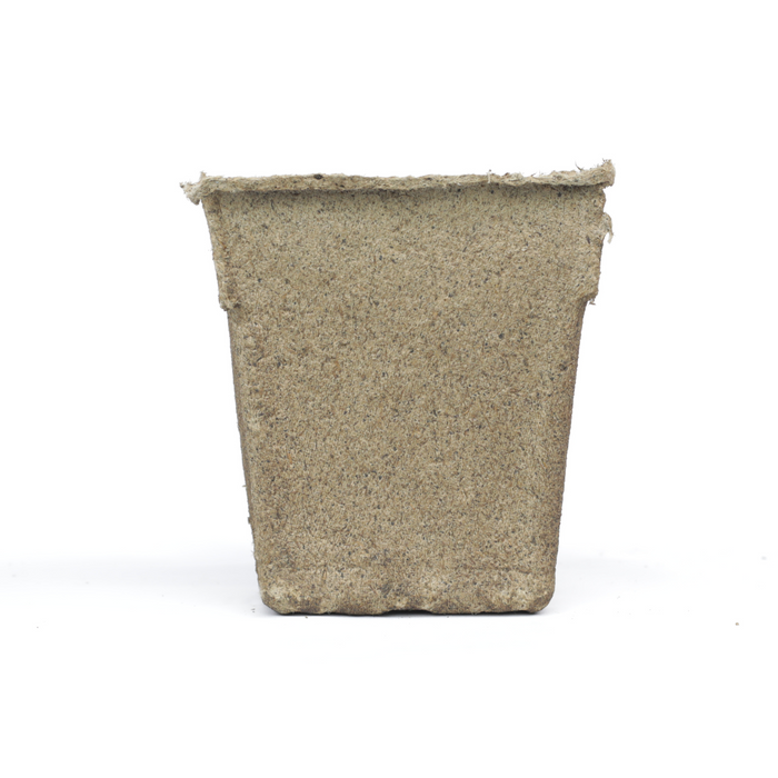 Biodegradable seed starter pot. Eco-friendly peat pot for seedlings, gardening, and plant propagation.