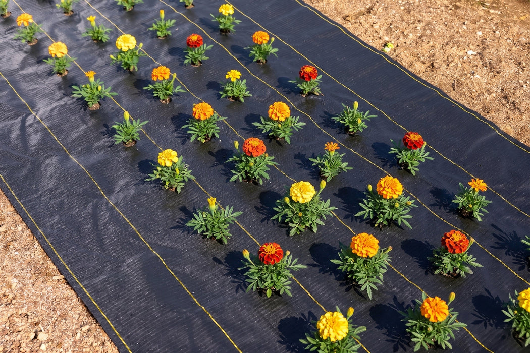 Quick-Plant Fabric — Weed Barrier
