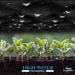 Dark geotextile fabric with water droplets above vibrant green plant sprouts in soil, highlighting high water permeability.