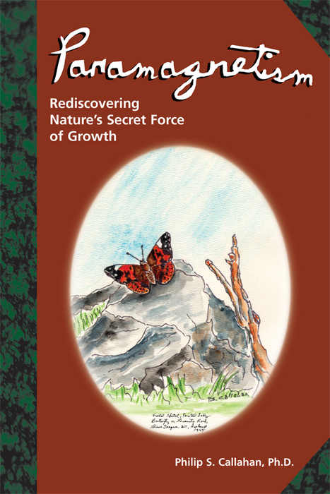 Paramagnetism: Rediscovering Nature's Secret Force of Growth book by Philip S. Callahan. Butterfly on rocks watercolor.