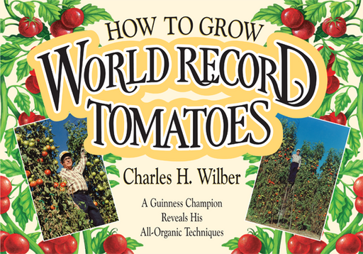 "How to Grow World Record Tomatoes" book by Charles H. Wilber. Man proudly displays his incredibly tall organic tomato plants.