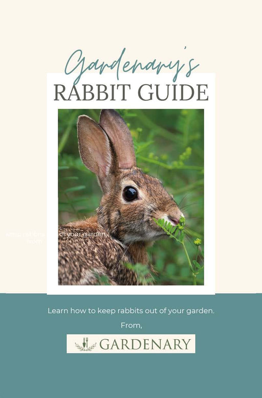 Brown rabbit eating green garden plants. Gardenary's guide to rabbit pest control and garden protection.