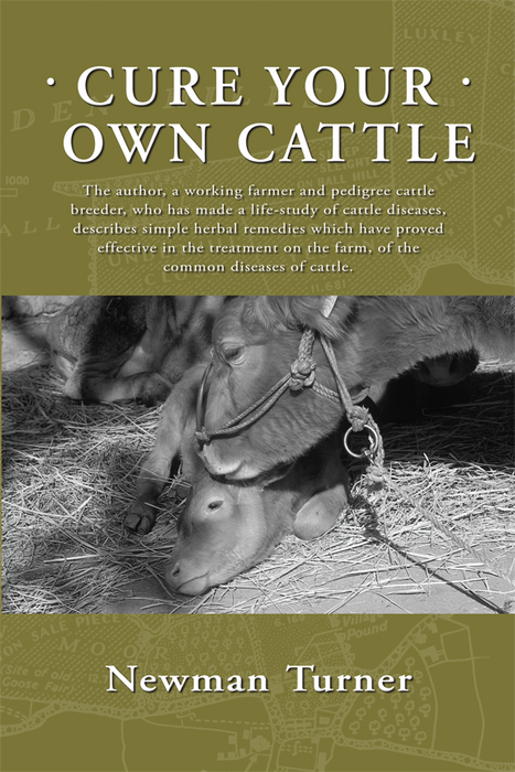 "Cure Your Own Cattle" book cover by Newman Turner. Cow and calf resting in hay. Herbal remedies for livestock health.