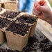 Child's hand planting seeds into brown peat pots filled with soil. Spring gardening, seed starting.