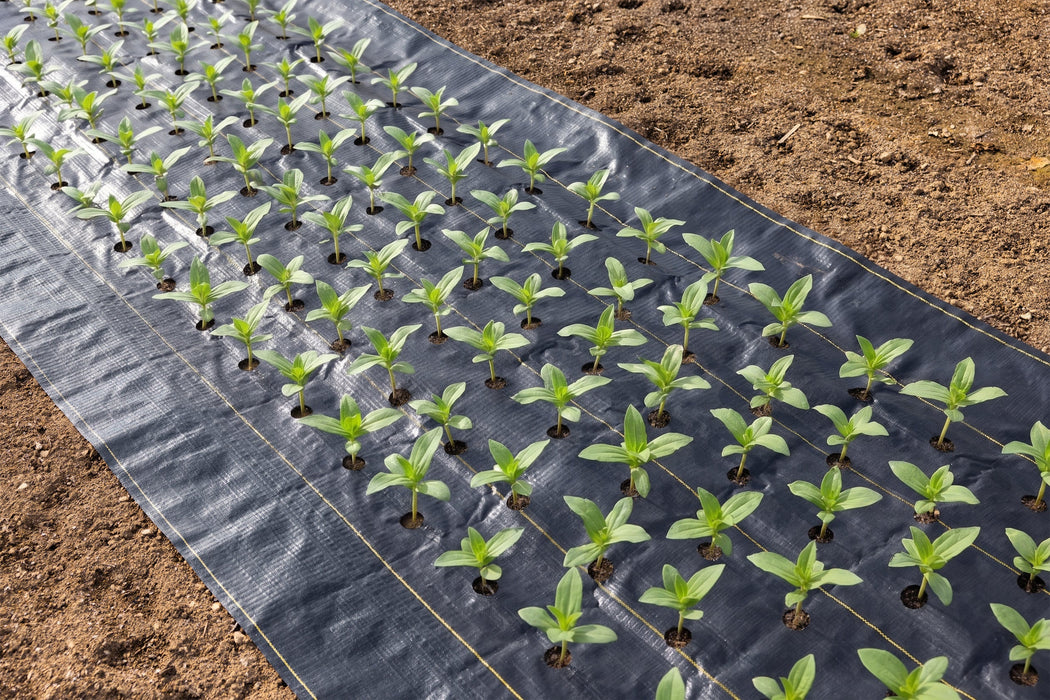 Quick-Plant Fabric — Weed Barrier