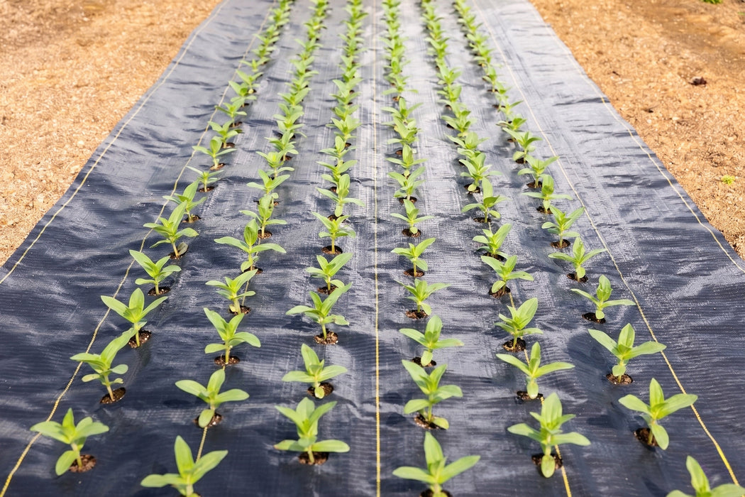 Quick-Plant Fabric — Weed Barrier