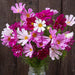 Vibrant pink, white, magenta cosmos bouquet with fern-like foliage in a jar. Rustic wood background.
