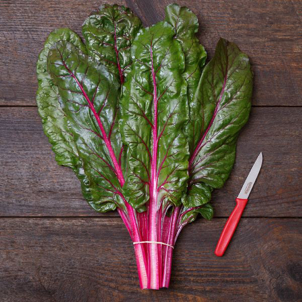 Fresh red Swiss chard with vibrant green leaves, tied, beside a red knife on a rustic wooden table. Healthy produce.