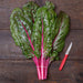 Fresh red Swiss chard with vibrant green leaves, tied, beside a red knife on a rustic wooden table. Healthy produce.