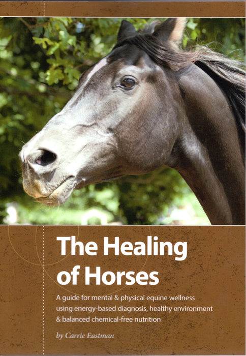 Dark horse with white blaze against green. Book: The Healing of Horses, equine mental & physical wellness, nutrition.