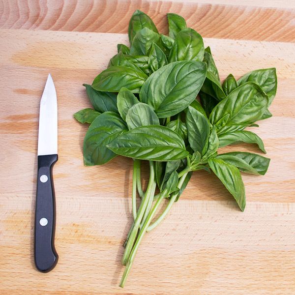 Fresh green basil leaves and a paring knife on a wooden cutting board.