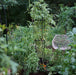 Wide Pillar Obelisk Trellis Kit
