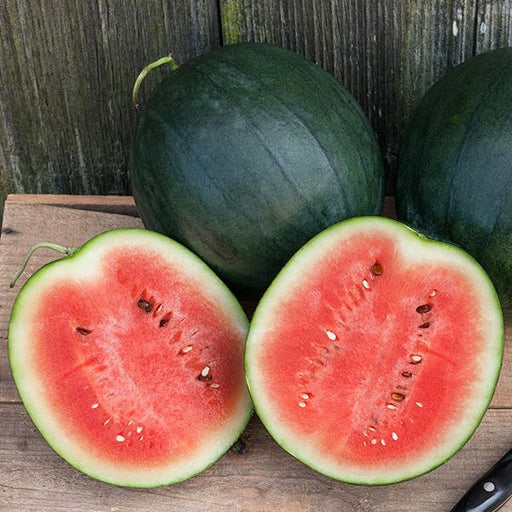 Fresh Sugar Baby watermelon, one cut open revealing sweet red flesh and seeds, two whole dark green watermelons.