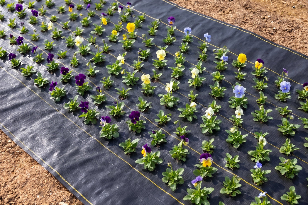 Quick-Plant Fabric — Weed Barrier