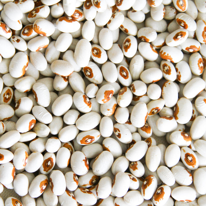 White dry beans with distinct reddish-brown eye marks. Healthy legumes for plant-based cooking.