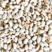 White dry beans with distinct reddish-brown eye marks. Healthy legumes for plant-based cooking.