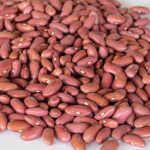Close-up of vibrant red kidney beans, essential for chili, stews, and plant-based protein.