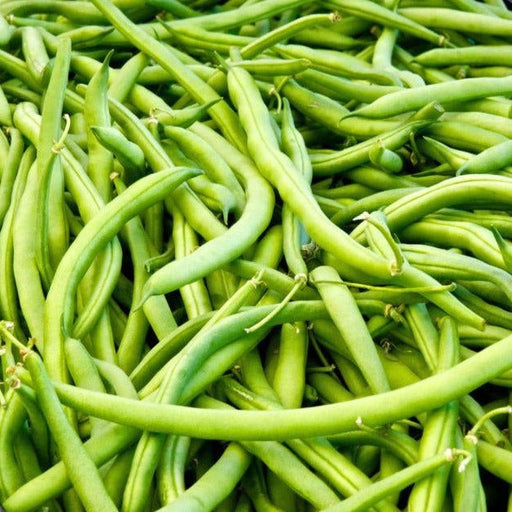Pile of fresh green snap beans, vibrant and healthy vegetables.