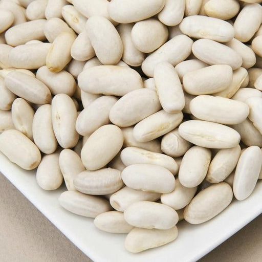 Close-up of dry white beans, possibly navy or cannellini, on a white dish. Versatile healthy legumes.