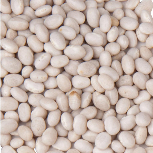 Dried white beans. Healthy legumes for soups, stews, and baking. Cannellini or navy beans.