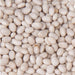 Dried white beans. Healthy legumes for soups, stews, and baking. Cannellini or navy beans.