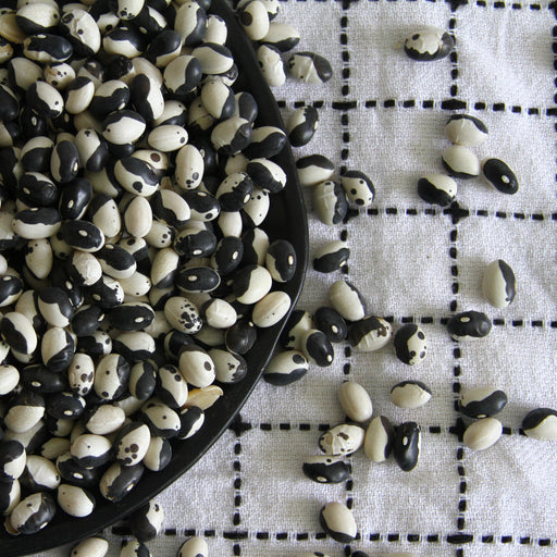 Black and white Yin Yang beans in a black bowl, spilled onto a white checkered tablecloth. Dried legumes for cooking.