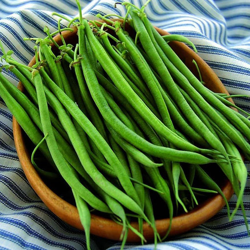 Fresh green beans in a rustic wooden bowl on a blue striped towel. Organic produce, healthy vegetables, garden harvest.