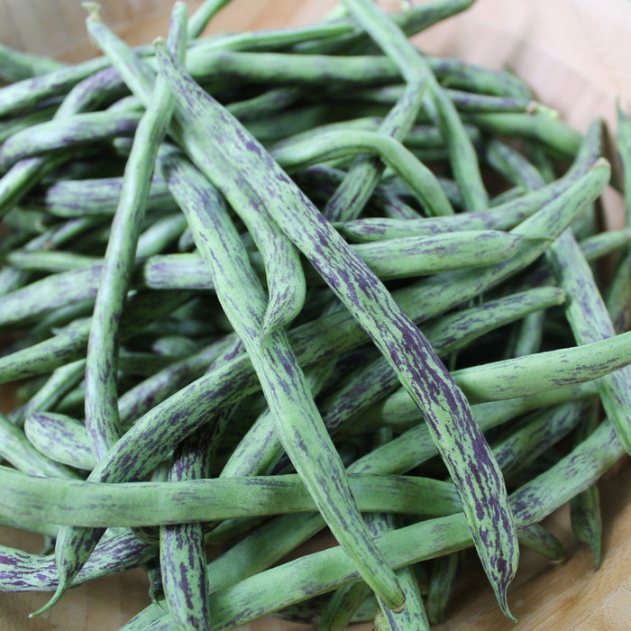 Fresh dragon tongue beans in a wooden bowl. Green and purple striped organic vegetables.