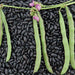 Fresh green bean pods and pink flowers on a vine over a bed of dried black beans. Edible beans, gardening.