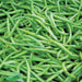 Pile of fresh green beans, vibrant green, healthy vegetables, garden produce.