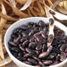Freshly shelled purple and pink speckled cranberry beans in white bowl. Dried pods, garden harvest legumes.