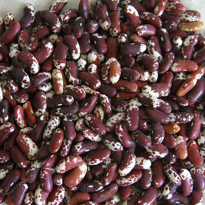 Dry Borlotti (Cranberry) beans, red & white speckled. Healthy legumes for cooking, soups, and chili.