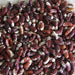 Dry Borlotti (Cranberry) beans, red & white speckled. Healthy legumes for cooking, soups, and chili.