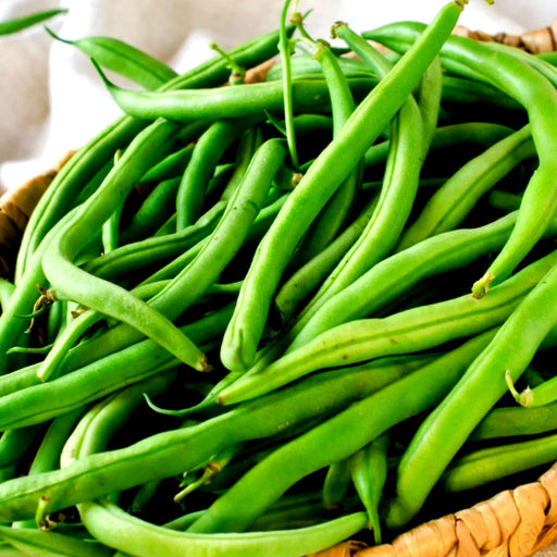 Fresh vibrant green beans in a wicker basket. Healthy garden produce, organic vegetables.